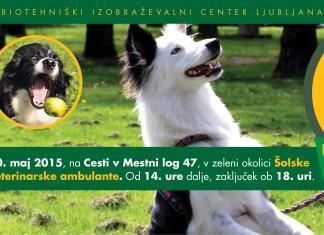 Vabljeni na Družinski dan s hišnimi ljubljenci, to sredo ob 14. uri!