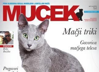 Nova številka edine slovenske revije za ljubitelje mačk že na prodajnih mestih!