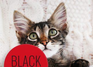 Izkoristite Muckove Black Friday akcije!