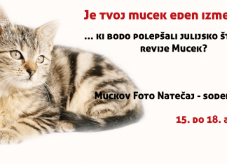 Muckov Foto natečaj