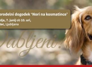 Vabljeni na 5. dobrodelni dogodek Nori na kosmatince!