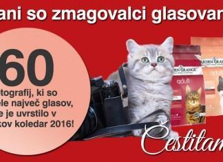 Znani so zmagovalci glasovanja za Muckov koledar 2016!