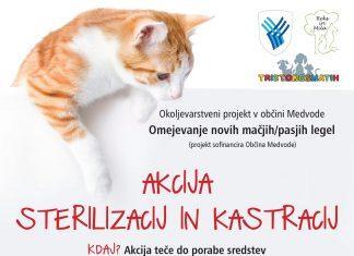 Akcija sterilizacije/kastracije mačk in psov v občini Medvode