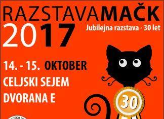 Razstava mačk v Celju 2017