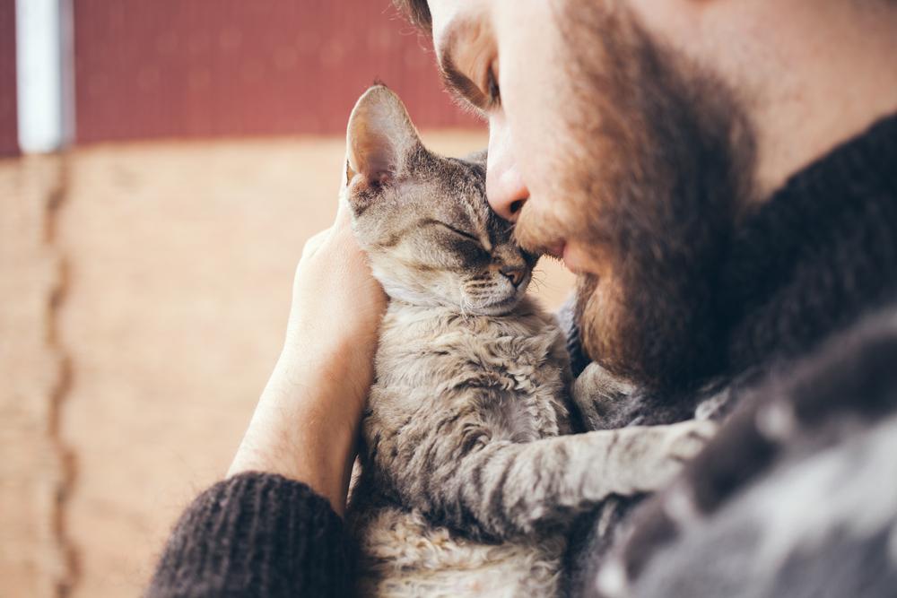 Kadar je mačka osamljena, to najpogosteje pokaže s spremembami v vedenju. Žival lahko osamljenost pokaže tako, da kar naenkrat mijavka veliko več, kakor sicer ali pa, da je, kadar ste doma, veliko več okoli vas. 
