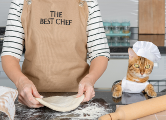 Priboljšek iz buče in piščanca za mačke