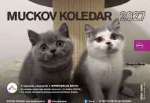 PREDNAROČILA ZA MUCKOV KOLEDAR 2027 SO ODPRTA!