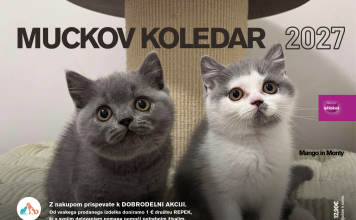 PREDNAROČILA ZA MUCKOV KOLEDAR 2027 SO ODPRTA!